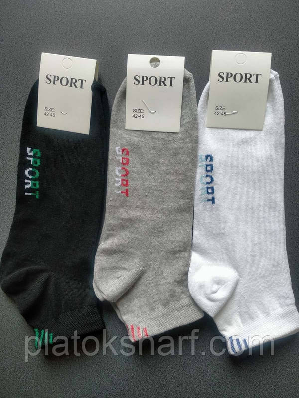 Спорт